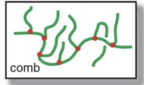 <p>What’s a signature feature of a comb polymer?</p>