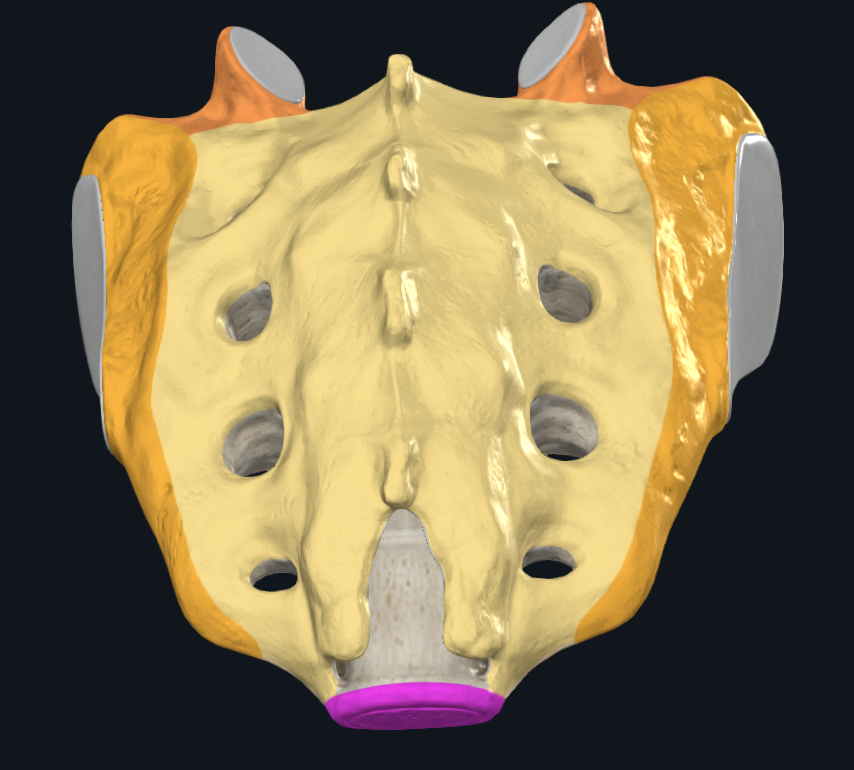 <p>Location of  PURPLE:</p>
