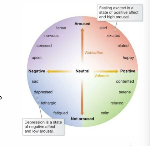 <p>Dimensional model for emotions</p><p>Two dimensions: </p><ul><li><p>Valence (positive vs. negative)</p></li><li><p>Arousal (low vs. high activation</p></li></ul><p>See photo</p><p>ex. Feeling excited is a state of positive affect and high arousal</p><p>Or, Depression is a state of negative affect and low arousal</p><p></p>
