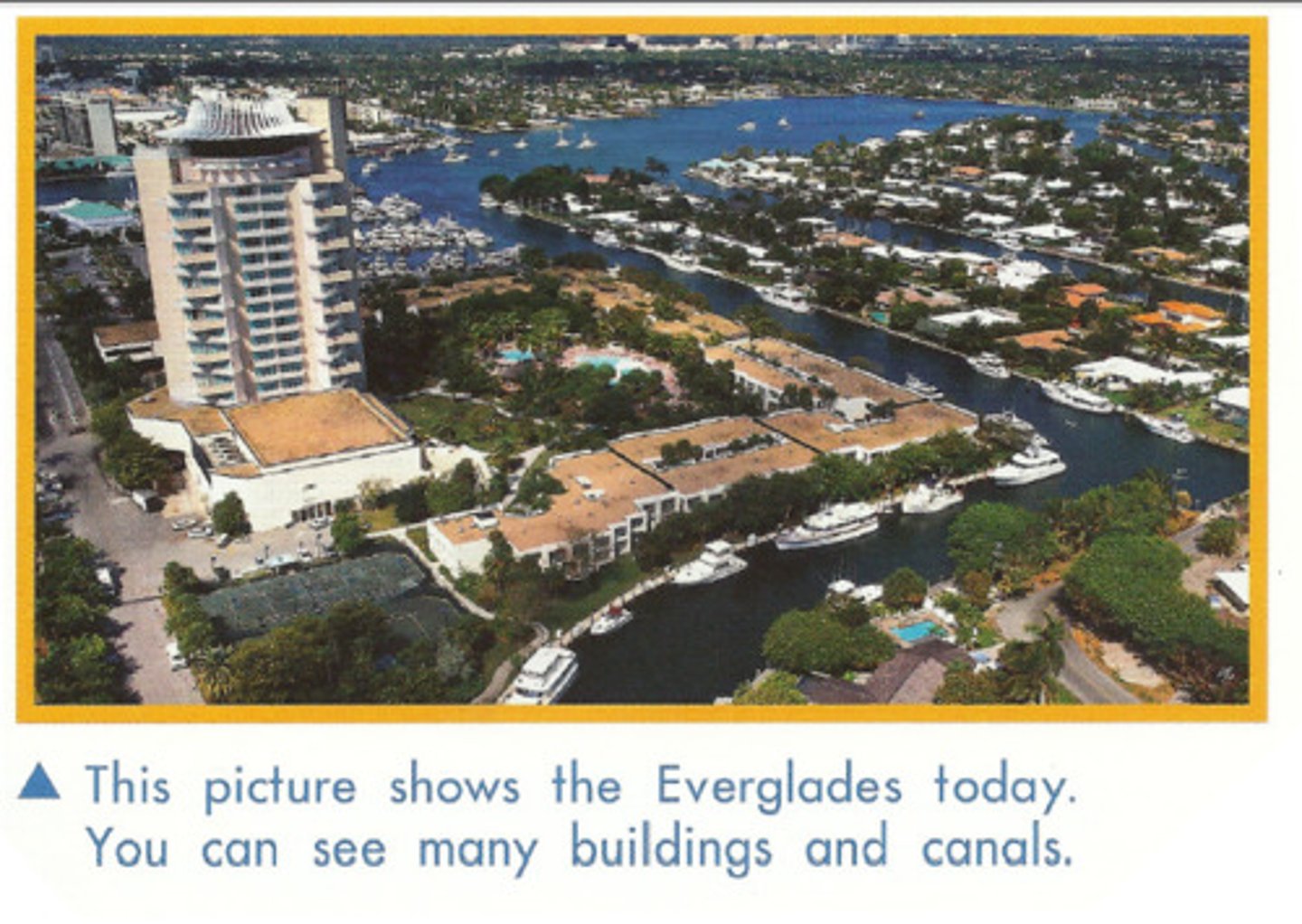 <p>caption</p>
