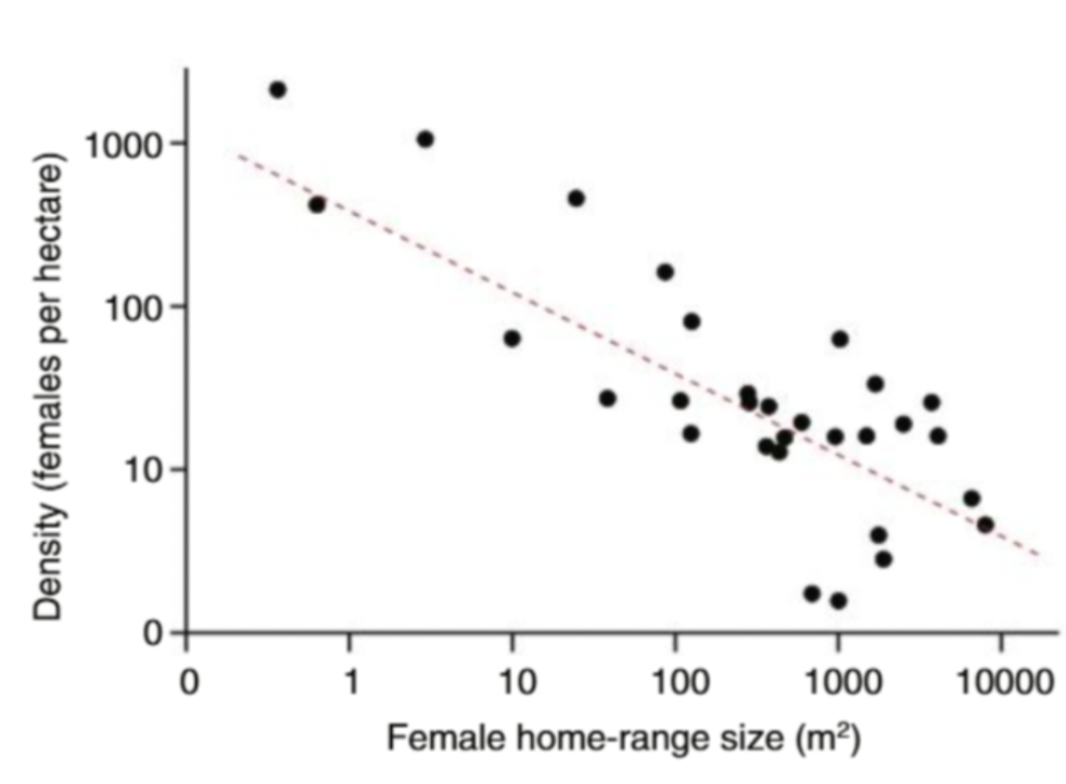 <p>Describe this graph</p>