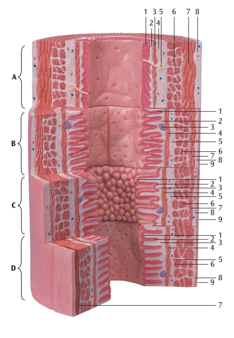 <p>B2</p>