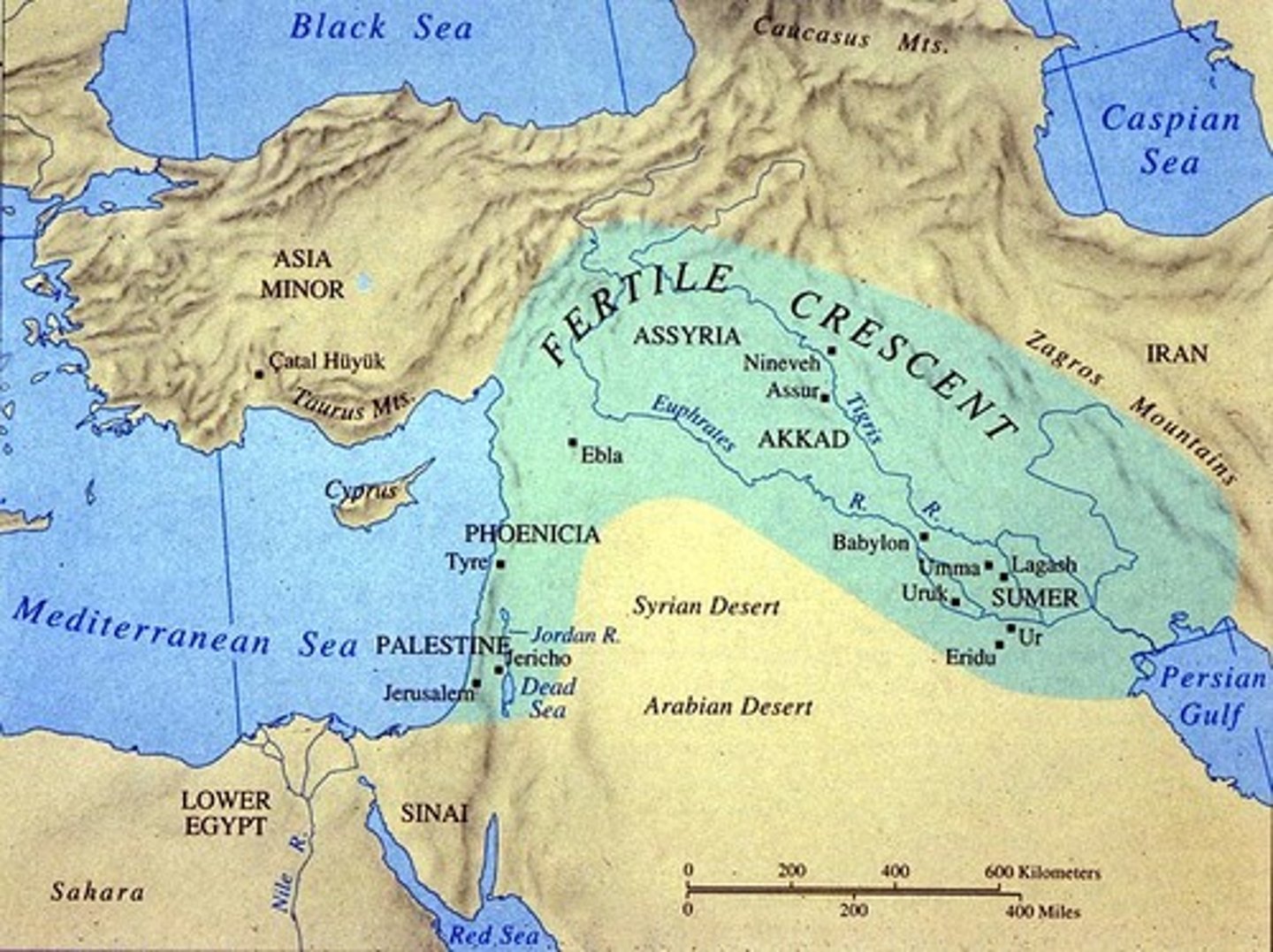 <p>A geographical area of fertile land in the Middle East stretching in a broad semicircle from the Nile to the Tigris and Euphrates</p>