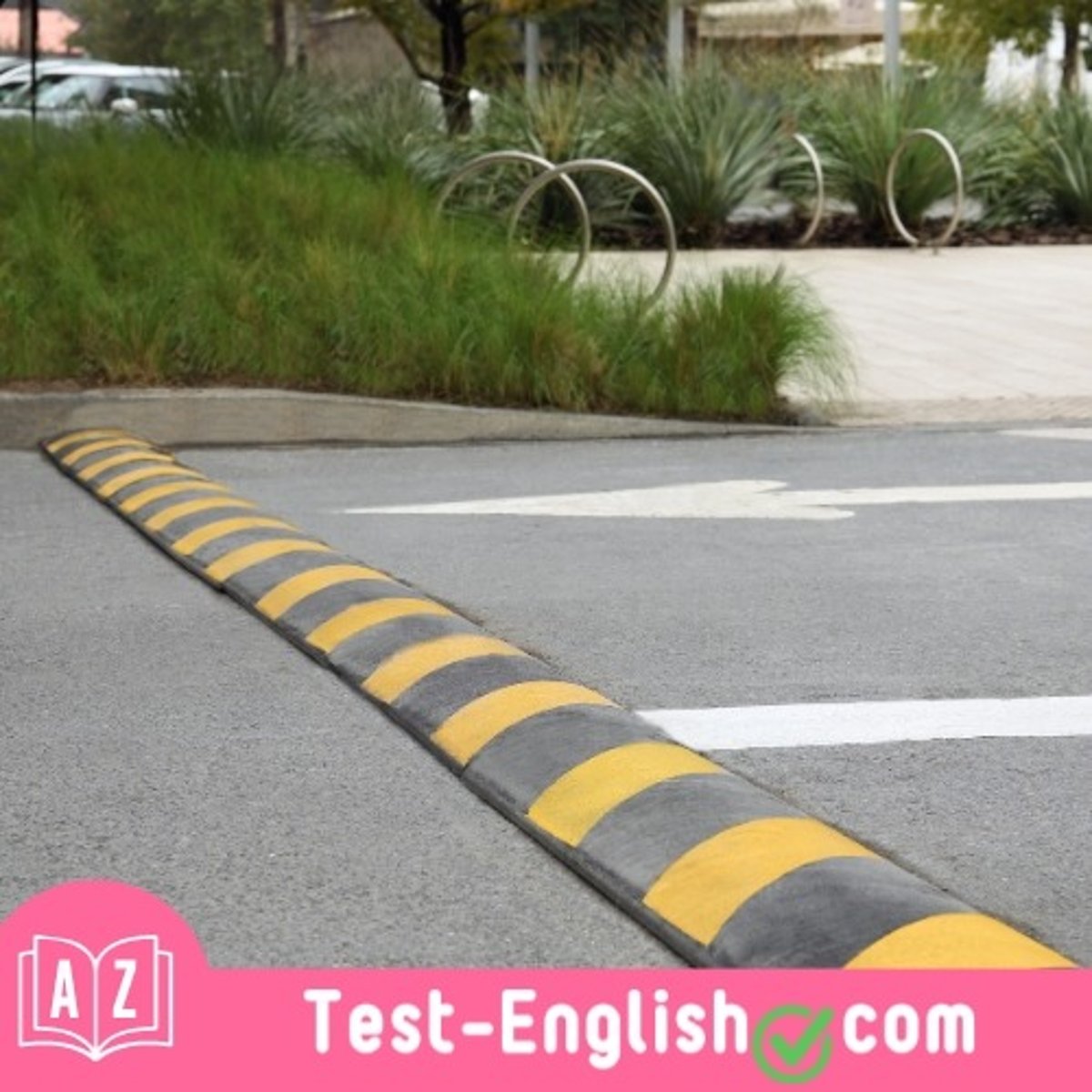 <p>Slow down for the _____ near the school if you want to avoid damage to your car. (2 words)</p>