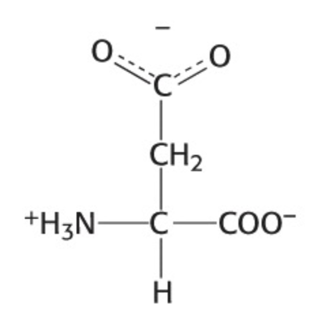 <p>Which amino acid is this</p>