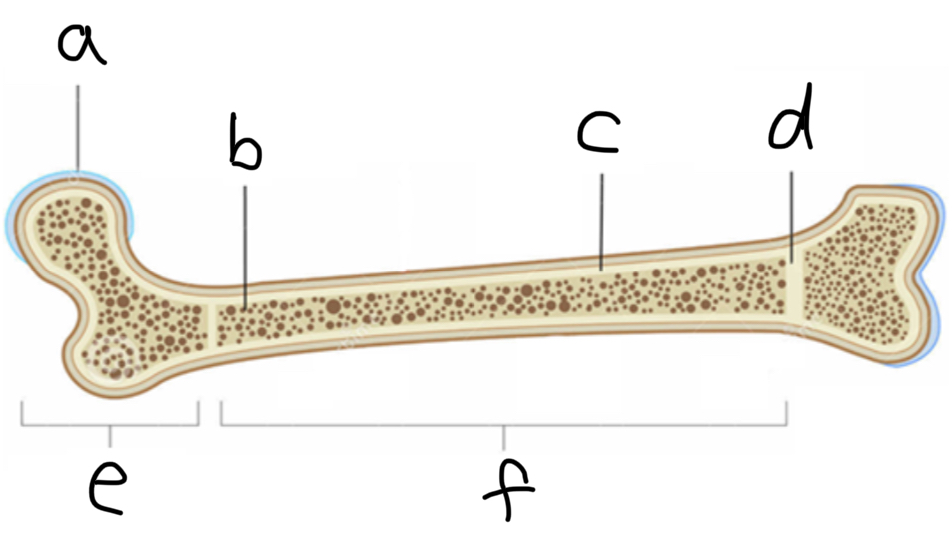 <p>What is C</p>