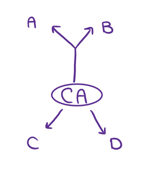 <ul><li><p><em><u><mark data-color="yellow" style="background-color: yellow; color: inherit;">shared common ancestor</mark></u></em></p></li></ul><p></p>