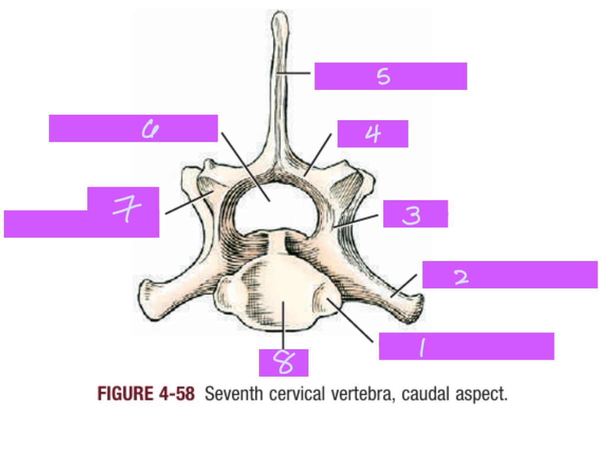<p>4</p>
