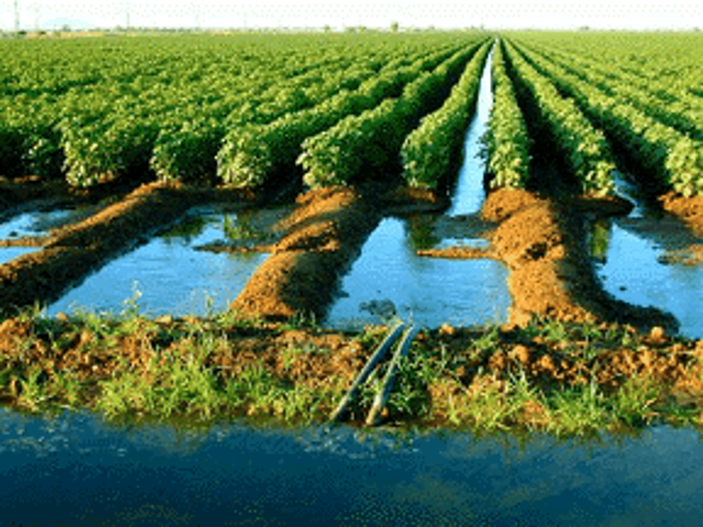<p>a system for bringing water to farmland by artificial means, such as using a dam to trap water and ditches to channel it to fields</p>