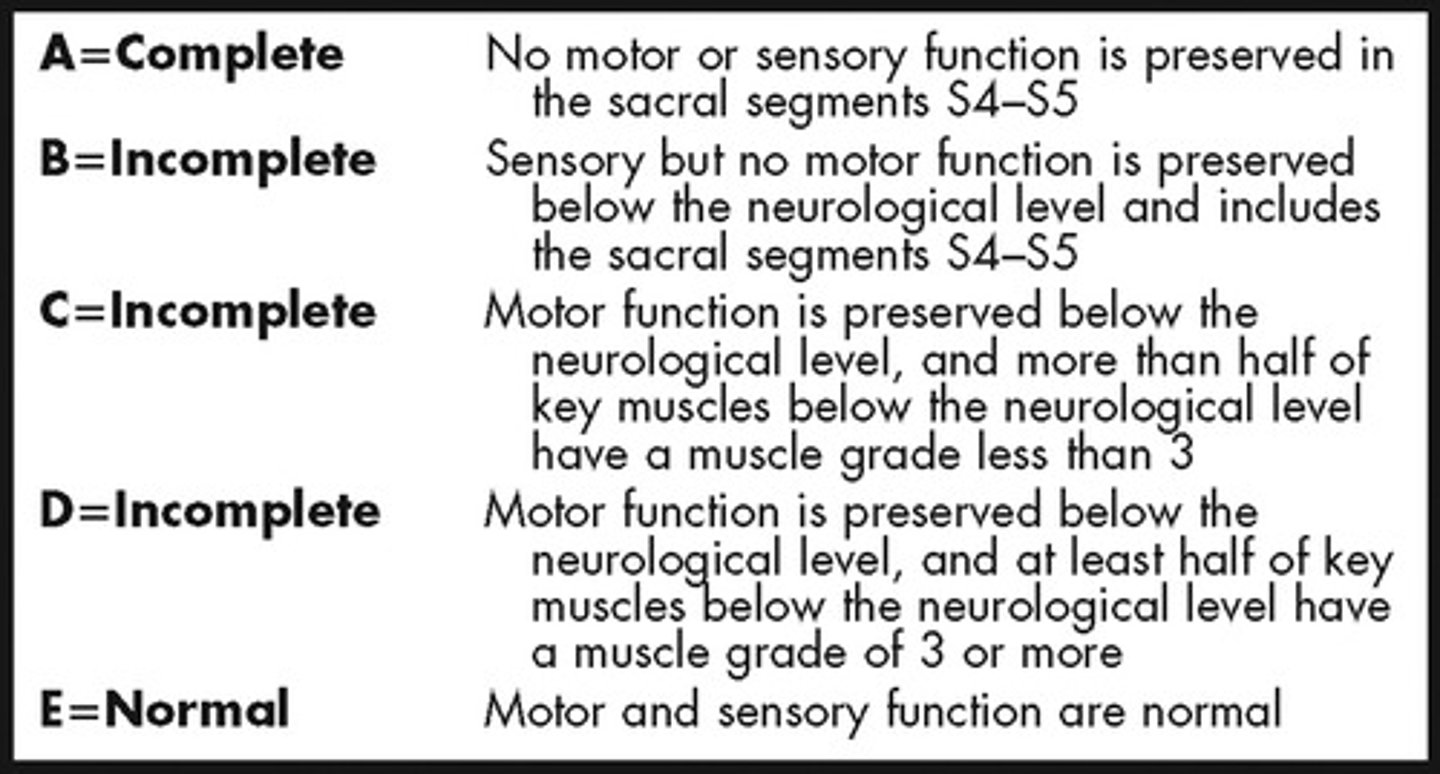 <p>Complete - no sensory or motor function is preserved in sacral segments (S4-5)</p>