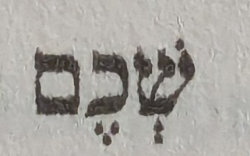 term image