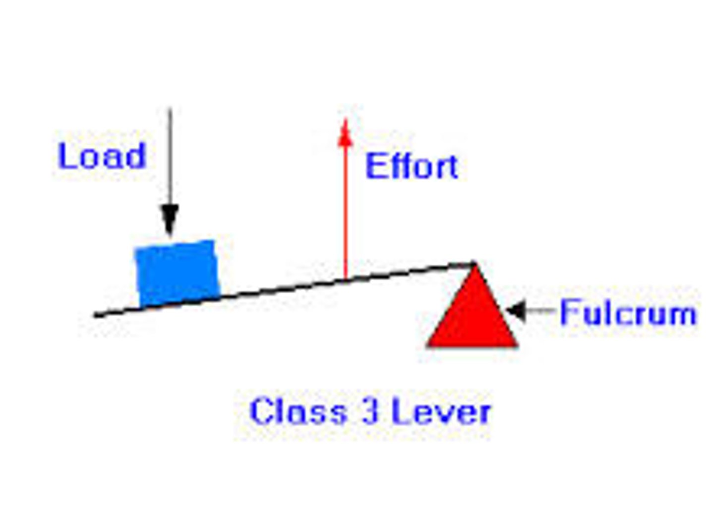 <p>the effort (force) is in between the load (resistance) and the fulcrum</p>