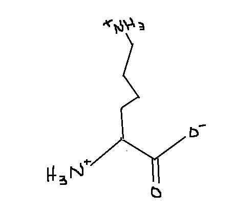 <p>Which amino acid is this?</p>