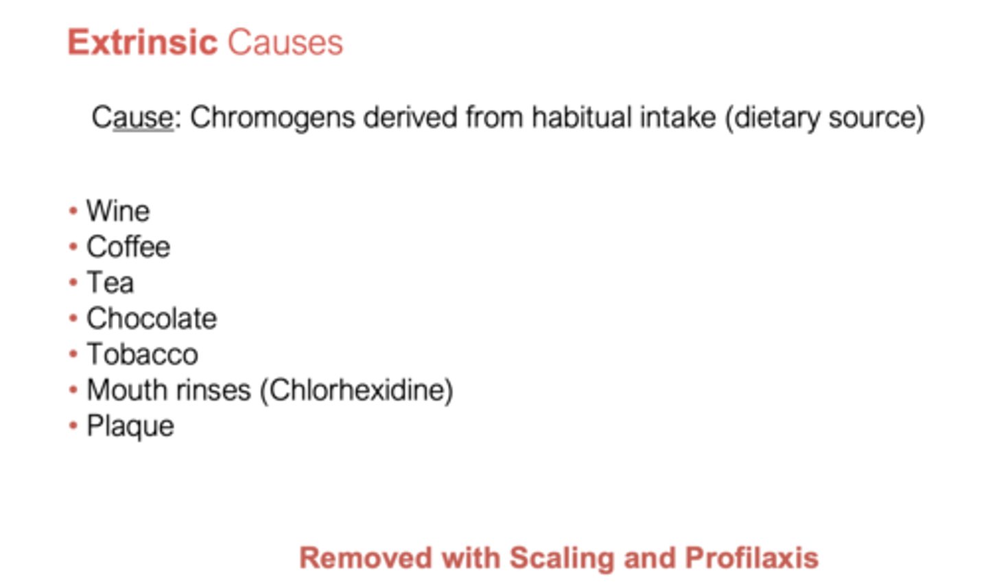 <p>- Scaling</p><p>- Profilaxis</p>