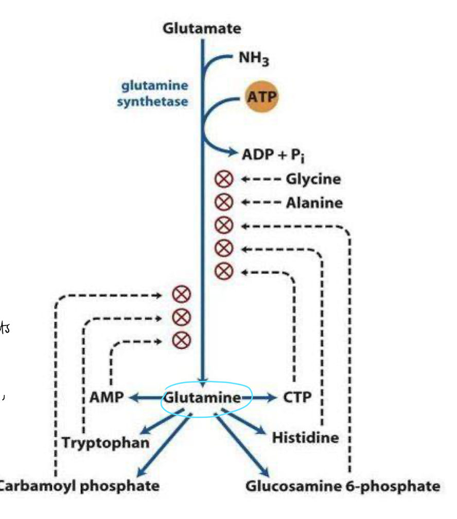 <p>when the pathway is inhibited by multiple end products that each acts independently. </p><ul><li><p>T.ex glutamine (the glutamine synthetase) pathway, each inhibitors acts independently, each decreasing a fixed percentage of the activity level. </p></li></ul><p></p>
