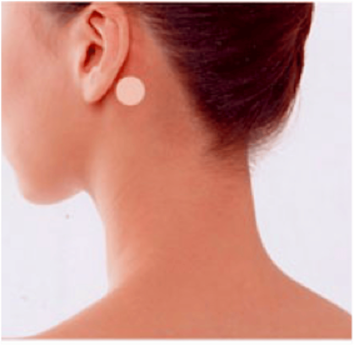 <p>behind the ear</p>