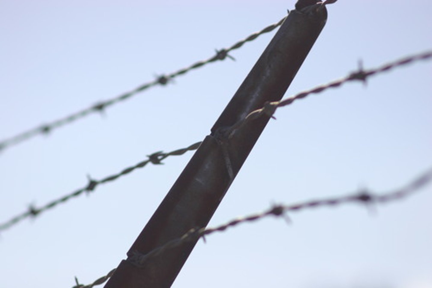 <p>Created barbed wire that ended the cattle drives!</p>