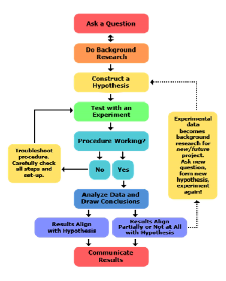<ol start="10"><li><p><strong>Communicate Results</strong></p></li></ol><ul><li><p>Share findings in <strong>lab reports, presentation, or publications.</strong></p></li><li><p>Include methods, data, graphs, analysis, and conclusion so others can <strong>replicate </strong>your experiment.</p></li><li><p>Experiments are about: <strong>logical design, valid controls, careful measurement, and thoughtful interpretation.</strong></p><ul><li><p><em>Is control legit? Is sample size large enough?</em></p></li></ul></li></ul><p></p>