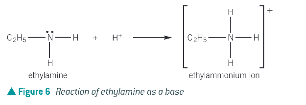 <p>the nitrogen atom in ammonia and amine molecules can accept a proton (H+), therefore they can act as bases in aq solutions by donating their lone pair of electrons to a proton and form a dative bond</p>