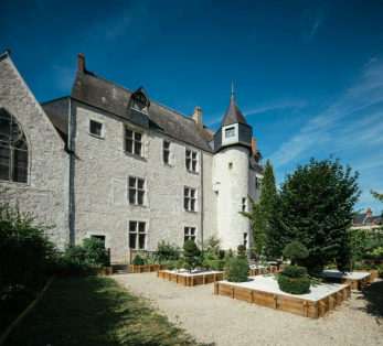 term image