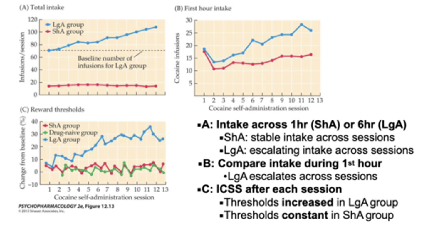 <p>ShA-1 hour access sessions</p><p>LgA- 6 hour access sessions</p><p>A: Intake across 1hr (ShA) or 6hr (LgA)</p><p>ShA: stable intake across sessions</p><p>LgA: escalating intake across sessions</p><p>B: Compare intake during 1st hour</p><p>LgA escalates across sessions</p><p>C: ICSS after each session</p><p>Thresholds increased in LgA group</p><p>Thresholds constant in ShA group</p>