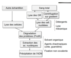 <ul><li><p class="">Car <strong>toutes les étapes d’analyse ne sont pas faites à la suite</strong>.</p></li><li><p class="">La congélation permet de <strong>préserver les résultats pour les étapes ultérieures</strong>.</p></li></ul><p></p>