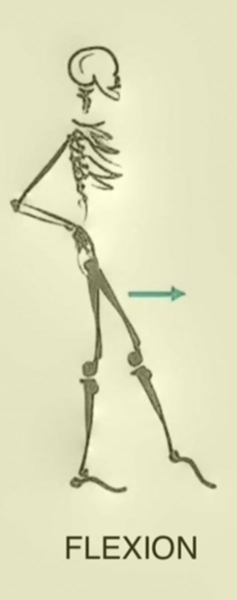 <p>Movement of a segment of the body causing a decrease in the angle at a joint</p>