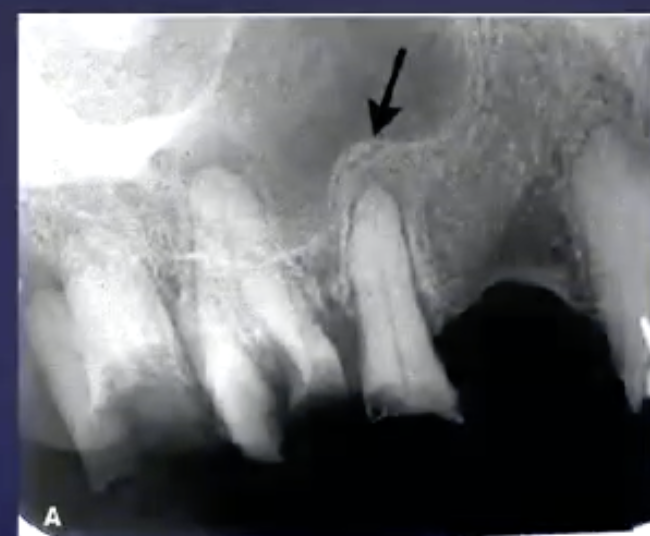 <p>what’s the arrow pointing to </p>