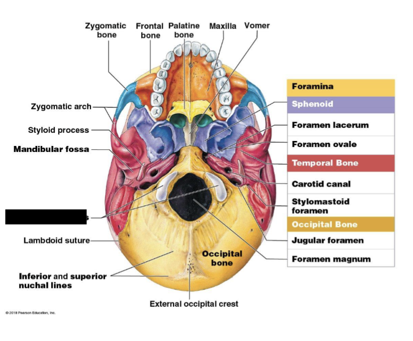 term image