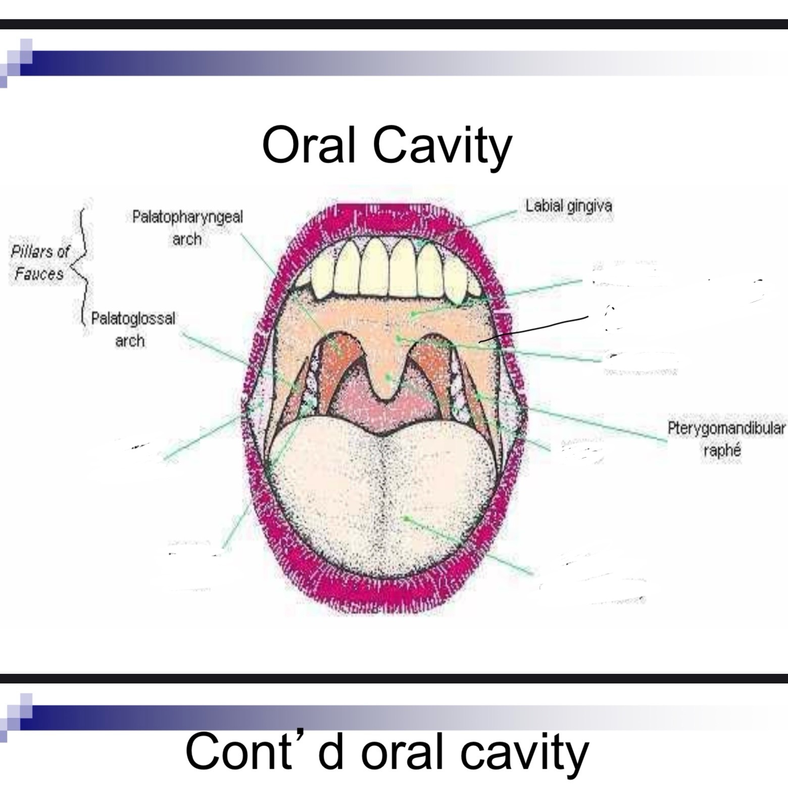 term image