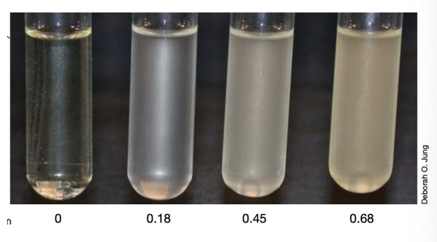 <ul><li><p>Rapid, widely used approach for estimating cell numbers in a solution, relying on the principle that</p></li><li><p><strong>Light is scattered in proportion to the number of cells </strong>(unicellular)</p></li><li><p><em>As no. of cells increases, so does the amount of light being scattered, resulting in increased visibility of turbidity</em></p></li></ul><p></p>