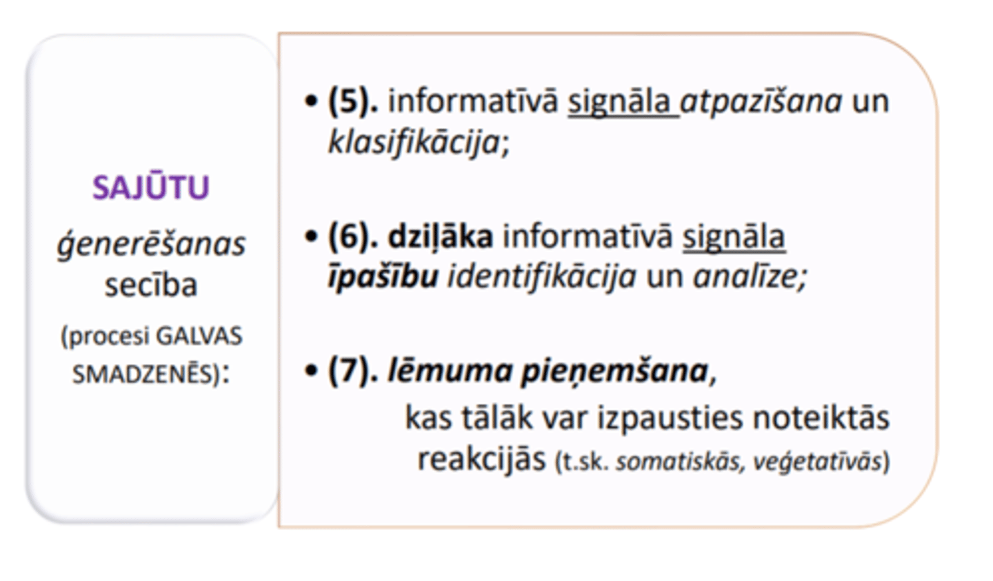 <p>1) recepcija - sensoriskā signāla uztvere receptoros (t.sk. maņu orgānos)</p><p>2) ģeneratoriskā potenciāla (receptoriskā potenciāla) un izrietoši DARBĪBAS potenciāla (DP) veidošanās</p><p>3) sensorās informācijas (DP «koda») ascendējoša pārvade,</p><p>4) pārvades ceļā uz GS garozu notiek informatīvā signāla modificēšana (DP «koda» pārkodēšana) katrā pārvades līmenī, kad notiek pārslēgšanās</p>