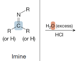 <p>What is the product of the reaction between an imine, and H2O (excess) (1st step), and HCl (2nd step)?</p>