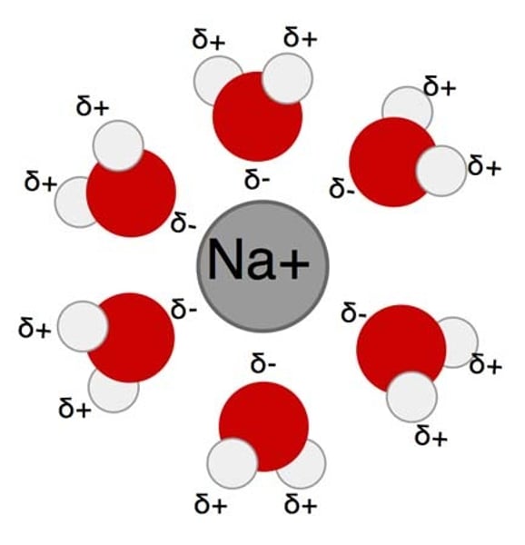 <p>Ion broken off and surrounded by polar water molecules</p>