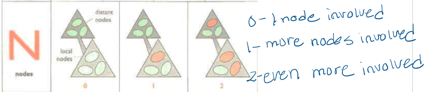 <p>N means nodes and it describes the amount of affected nodes with cancerous cells</p>