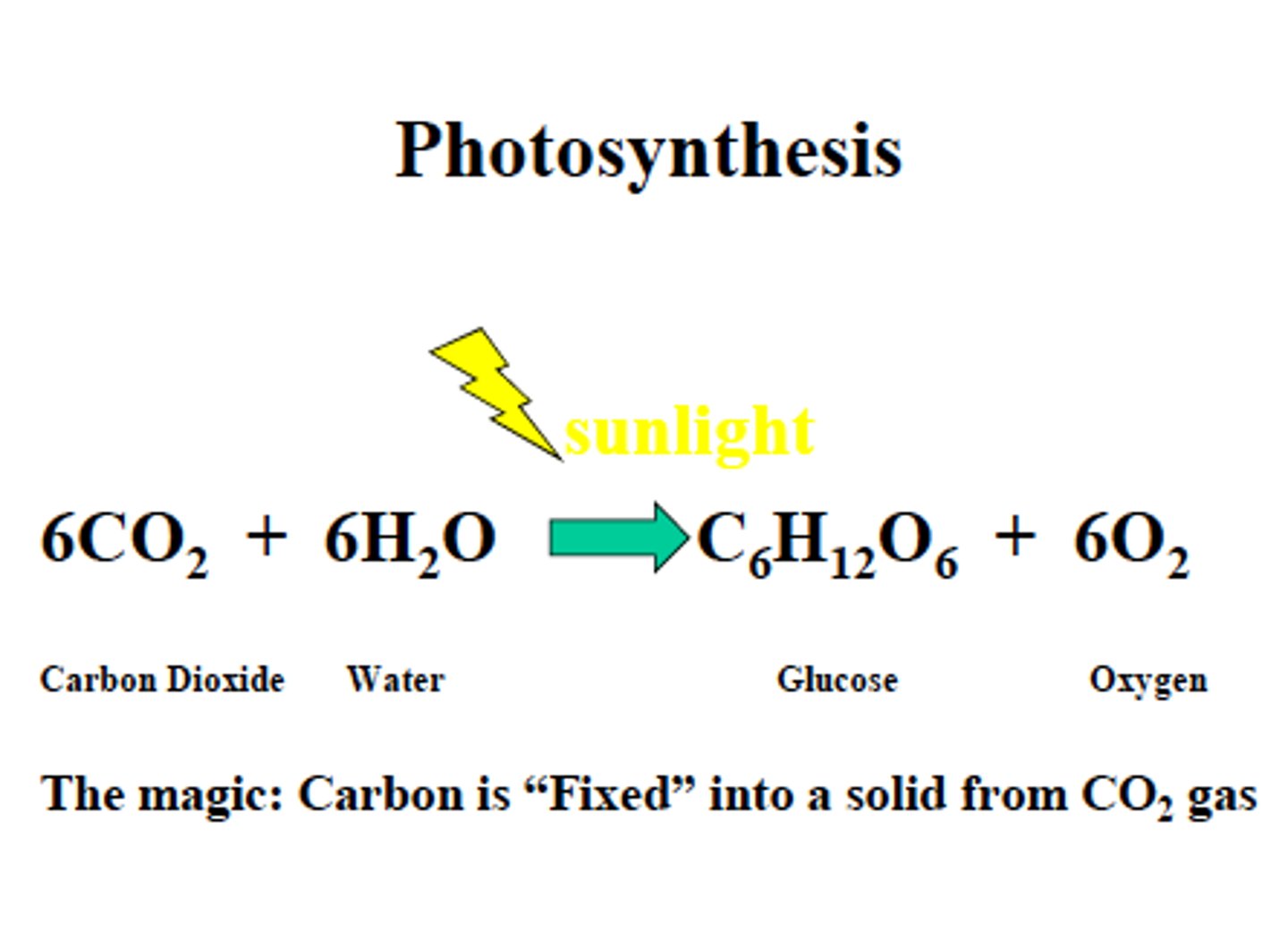 <p>glucose and oxygen</p>