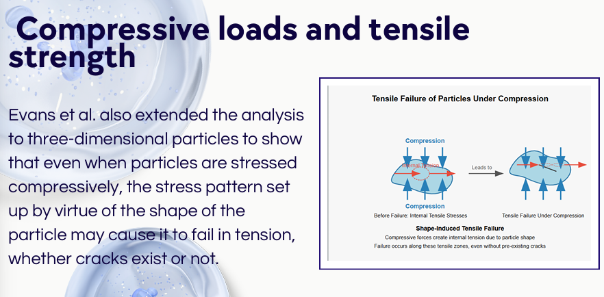 <p>read pagd frfrfrfr</p>
