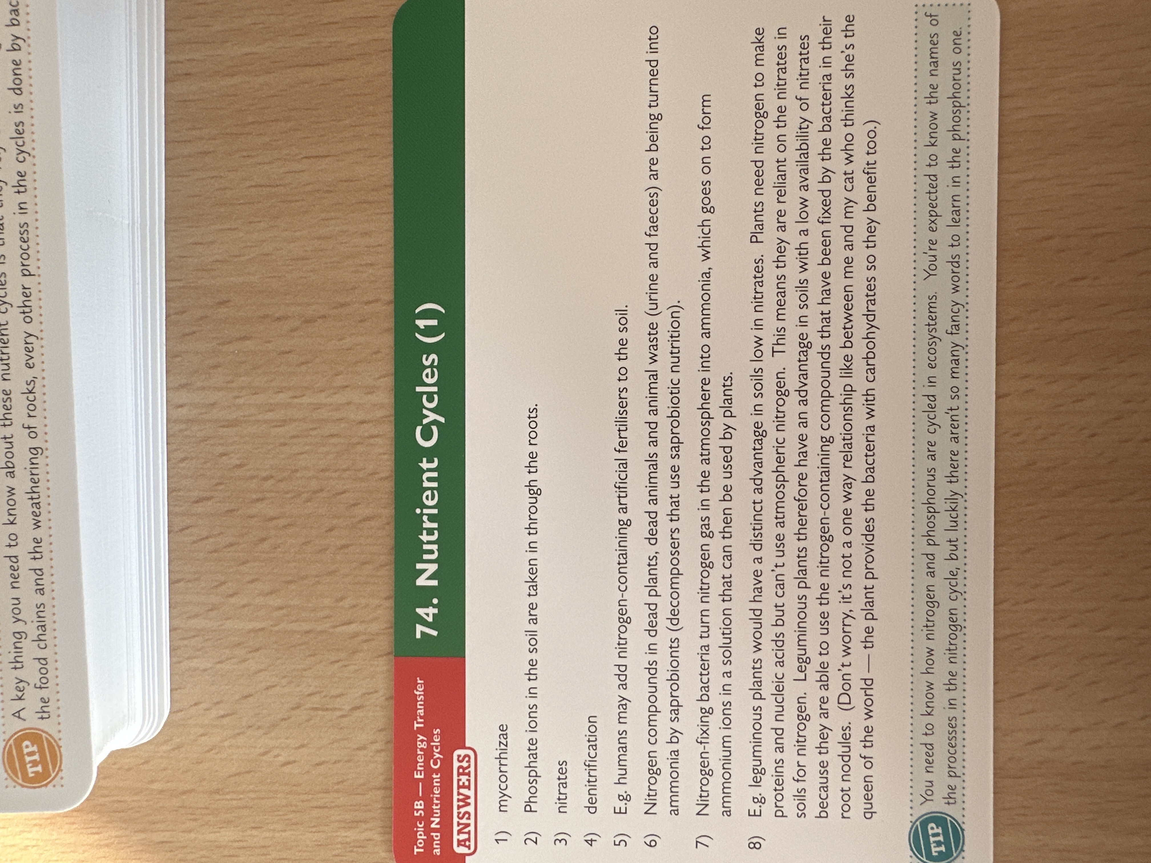 knowt flashcard image