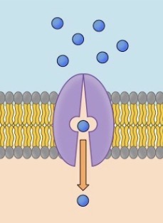 <p>What is this?</p>