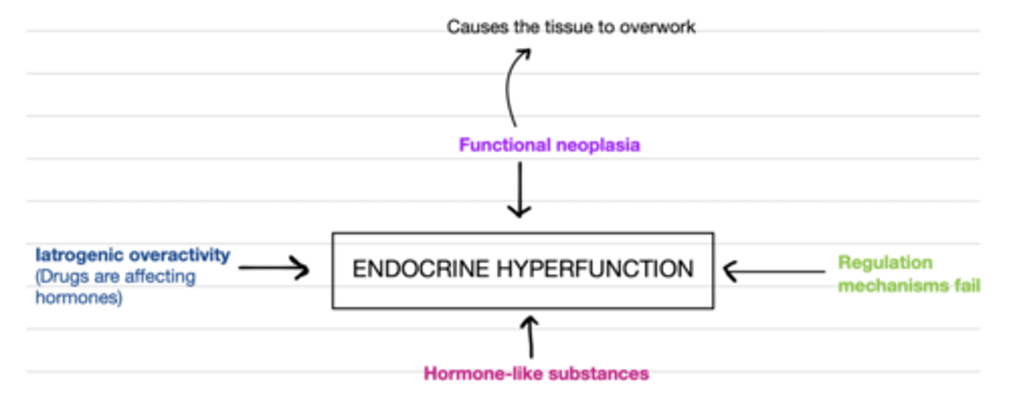 <p>-functional neoplasia</p><p>-regulatory mechanisms fail</p><p>-hormone-like substances</p><p>-iatrogenic overactivity (drugs)</p>