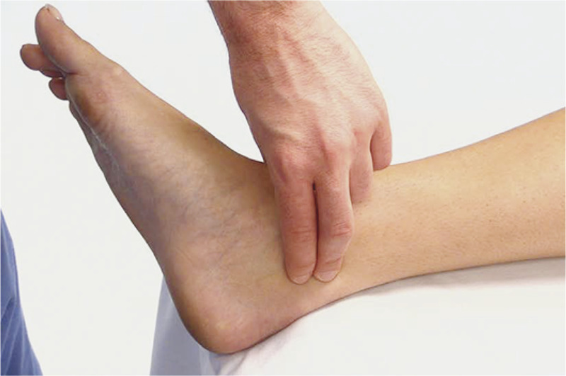 <p><span>artery that passes posterior to medial malleolus at the ankle</span></p>