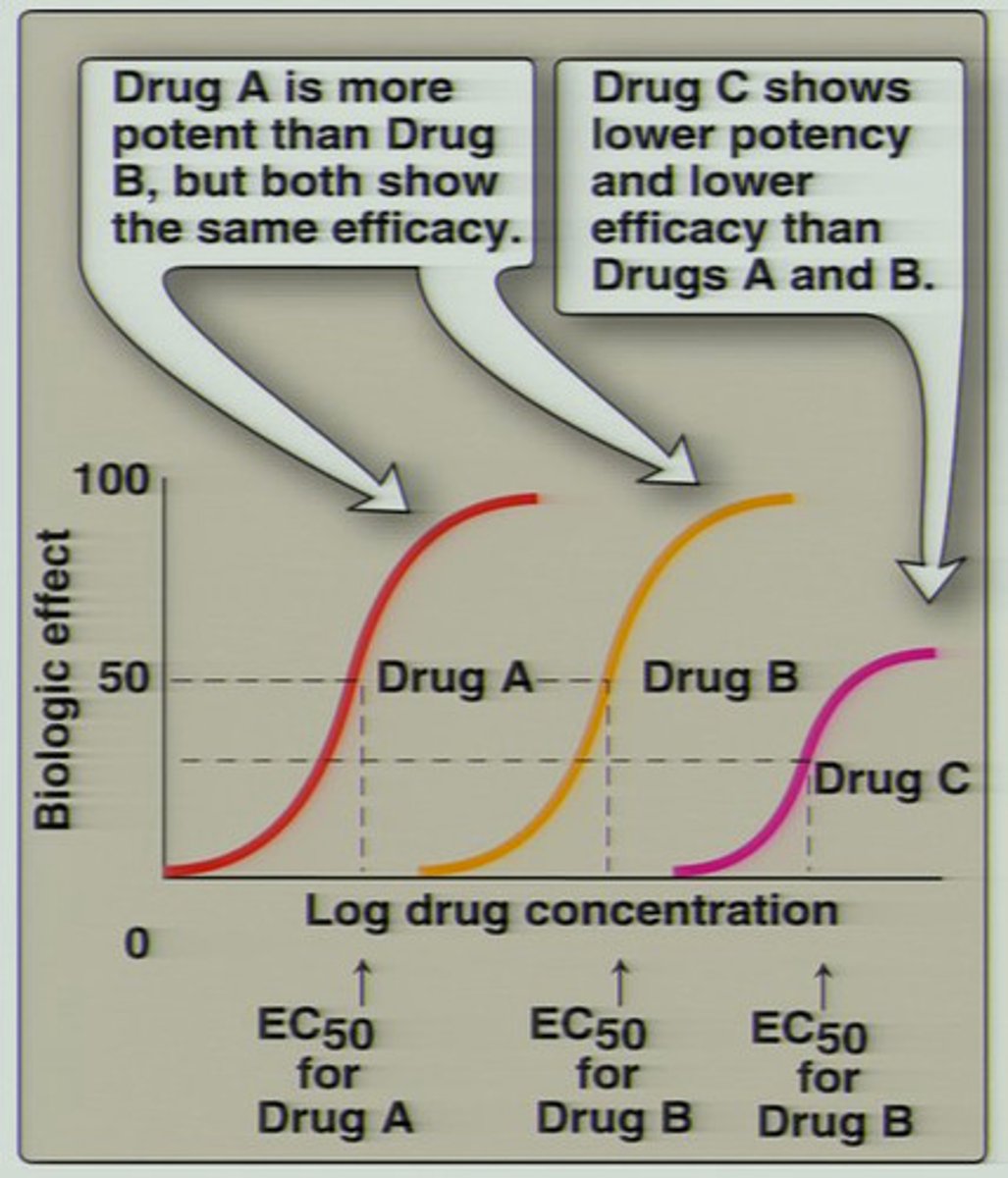 <p>Compares the doses of two or more drugs with respect to how much drug is needed to produce a specific response</p><p>- usually based on the median effective dose or median effective concentration (ED50/EC50)</p><p>- If a drug is highly potent, it will not take much drug to produce a therapeutic response</p><p>- Potent drugs typically have a high affinity for the receptor binding site</p>