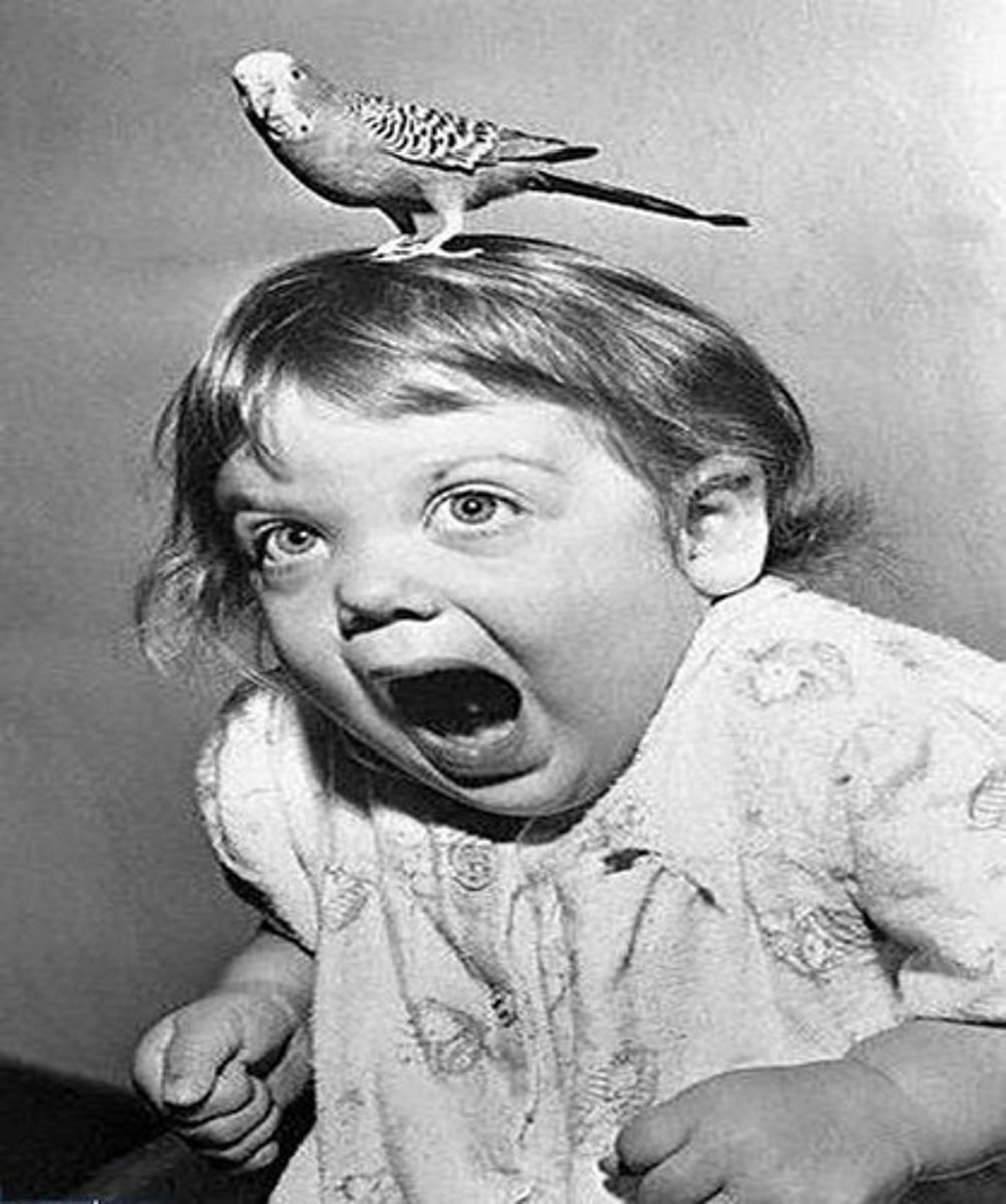 <p>fear</p>