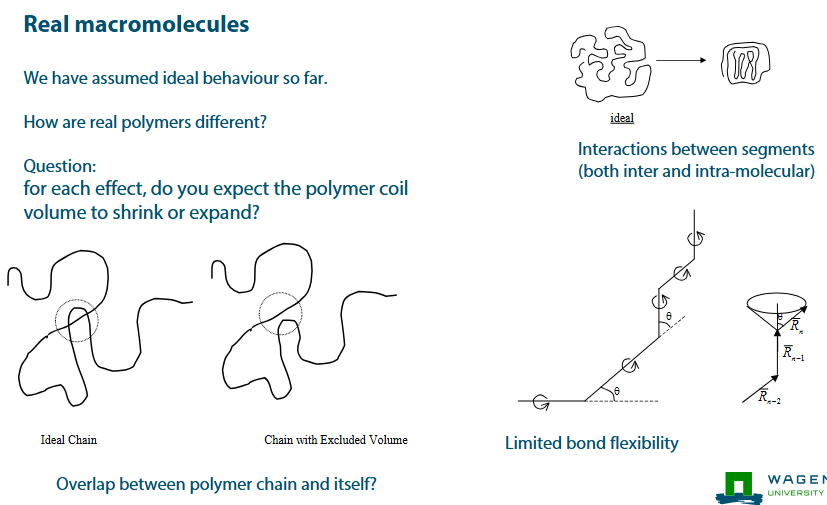 <ul><li><p>Interactions between segments (both inter and intra-molecular)</p></li><li><p>Limited bond flexibility</p></li></ul><p></p>