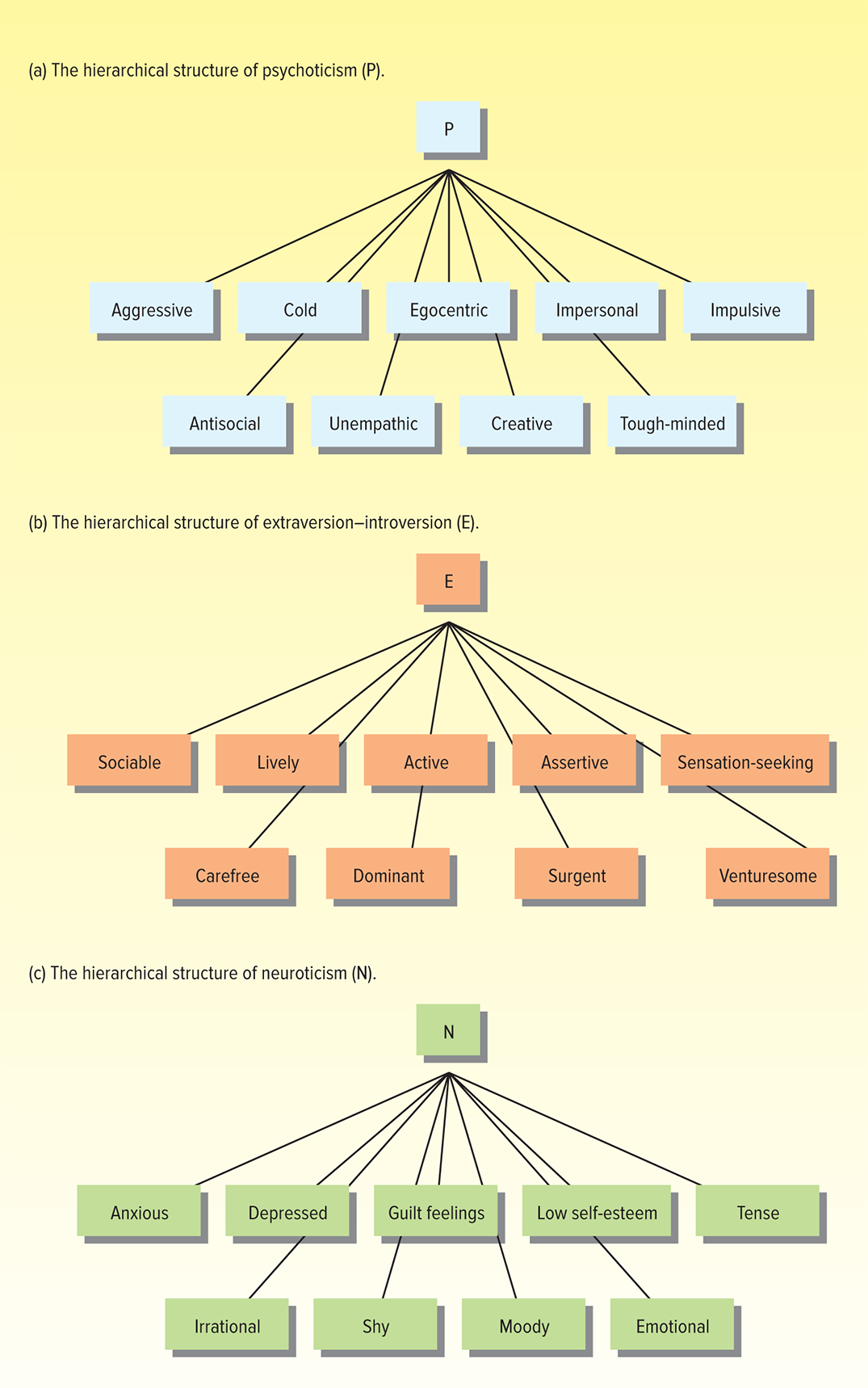 A model of personality based on traits that are believed to be highly heritable and have a physiological foundation. The three main traits are (p) psychoticism, (e) extraversion-introversion, and (n) neuroticism-emotional stability.