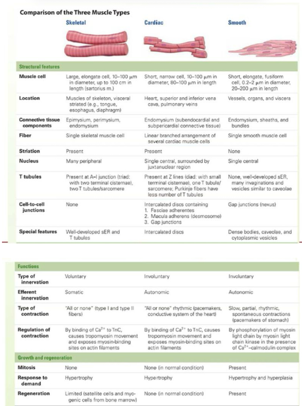 <p>For example see </p>