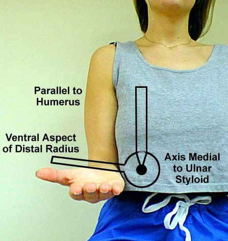 <p>Axis: Medial to ulnar styloid</p><p>Proximal Arm: Parallel to the shaft of the humerus</p><p>Distal Arm: Dorsal aspect of the forearm between the styloids</p><p>ROM: ~85 degrees</p><p>End-Feel: Firm</p><p>Notes - make sure elbow is at patients side</p>