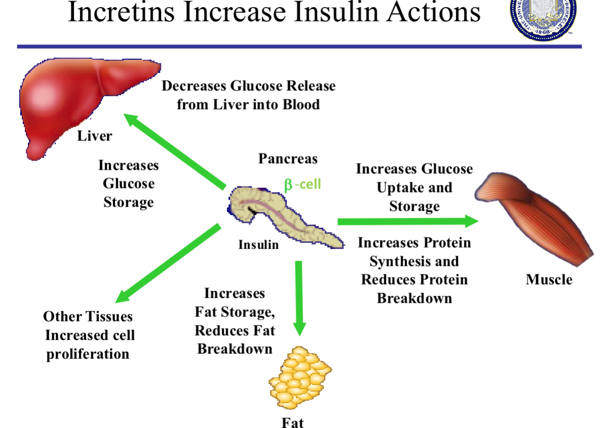 <img src="blob:null/97a8ade2-a5de-486e-8014-0616ae2da275"><p></p>