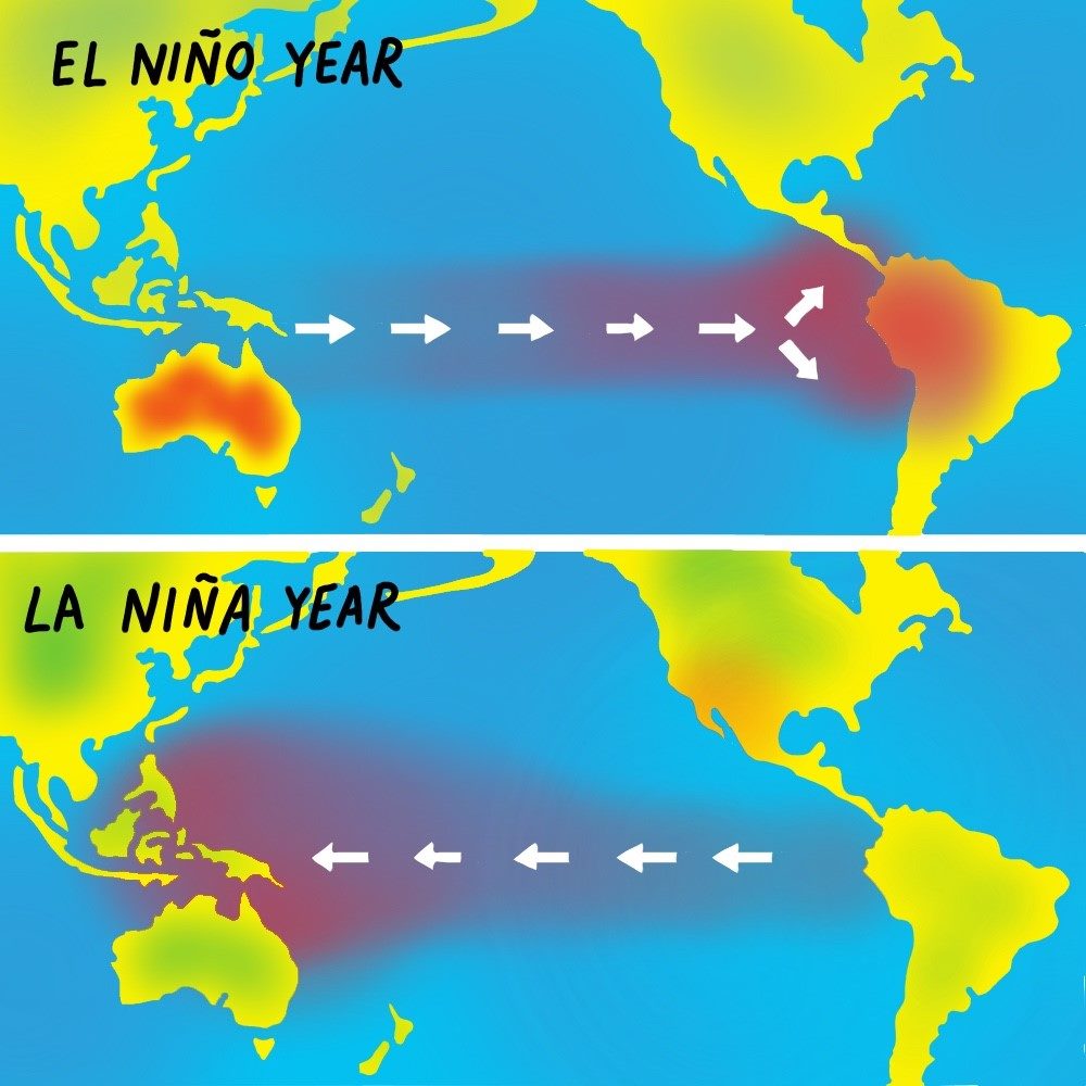 <p>Difference of La Nina and El Nino</p>