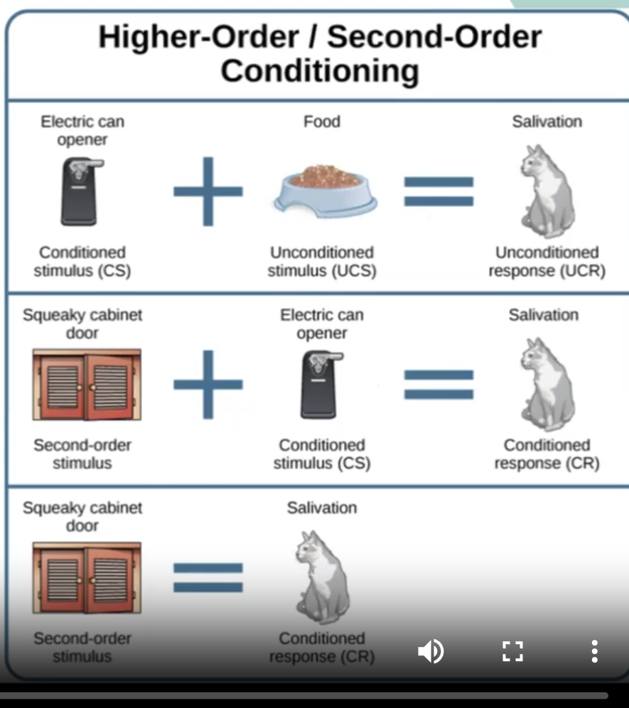 <p>second order (higher order) conditioning</p>